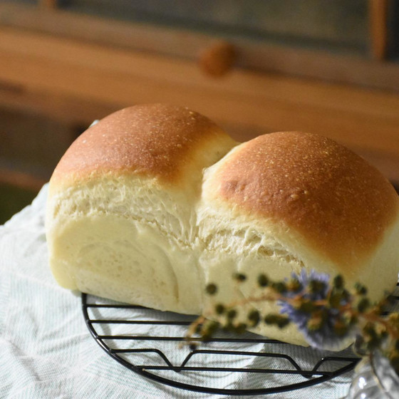 季節の酵母レッスン　小さなお山の食パン