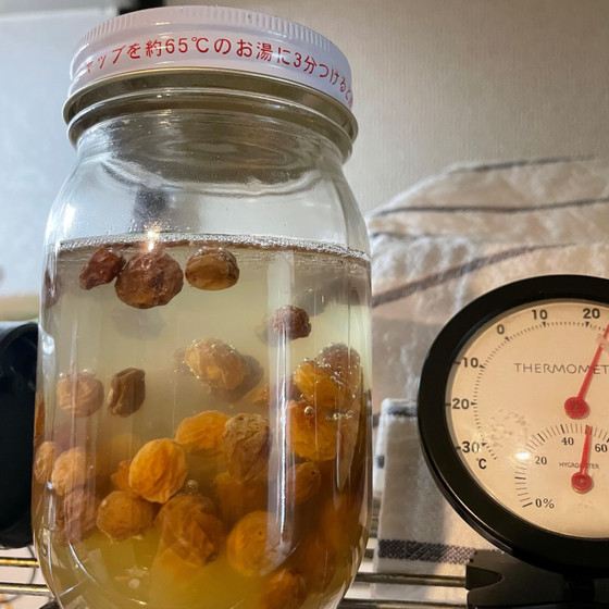 初めてのレーズン酵母レッスン　
