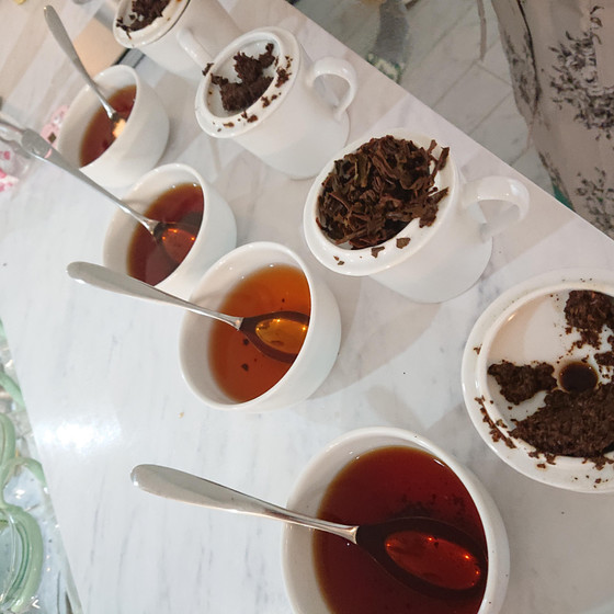 産地別に７種類の紅茶を飲み比べるティスティング その１