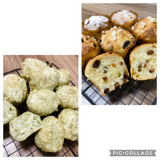 11・12月手ごねパンレッスン【ゼッポリーニ ＆ パネトーネ】