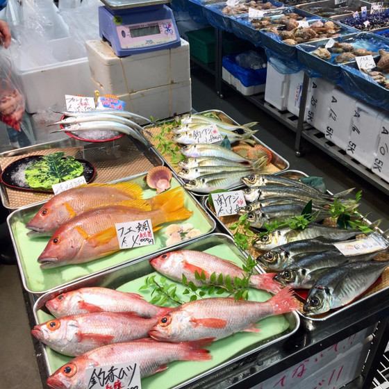 豊洲・仲卸フロアでお買い物～魚さばき＋寿司にぎり教室