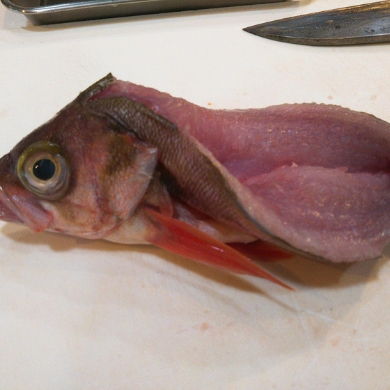 魚料理初心者のための魚料理講座　「愛の魚道場2024年春夏クラス」体験レッスン