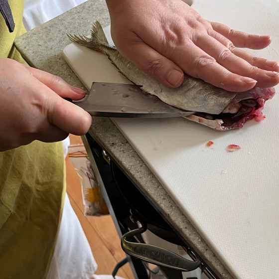 ＼春の特別キャンペーン／オンラインで体験！自分で魚をおろしてサクサク鰺フライを作ろう！
