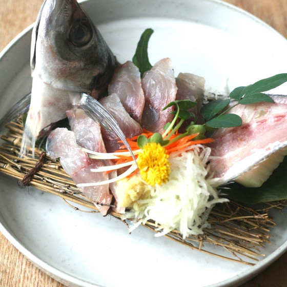全国から参加できる！オンライン魚講座全５回