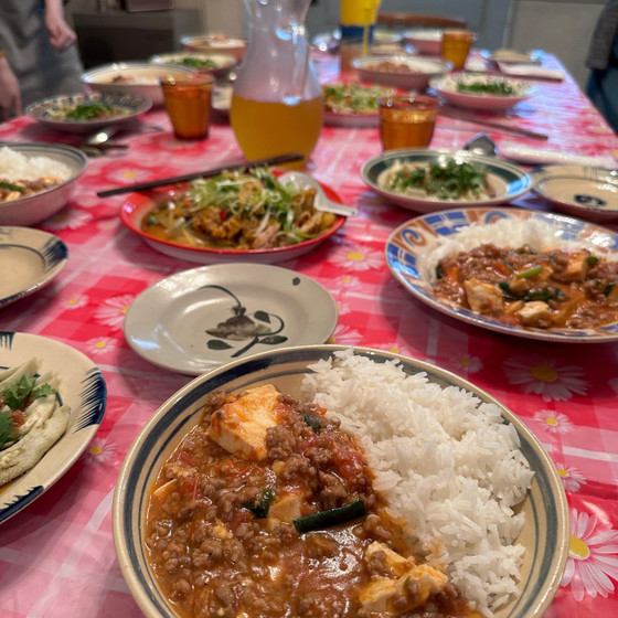 子供でも食べられる辛くないベトナムの麻婆豆腐