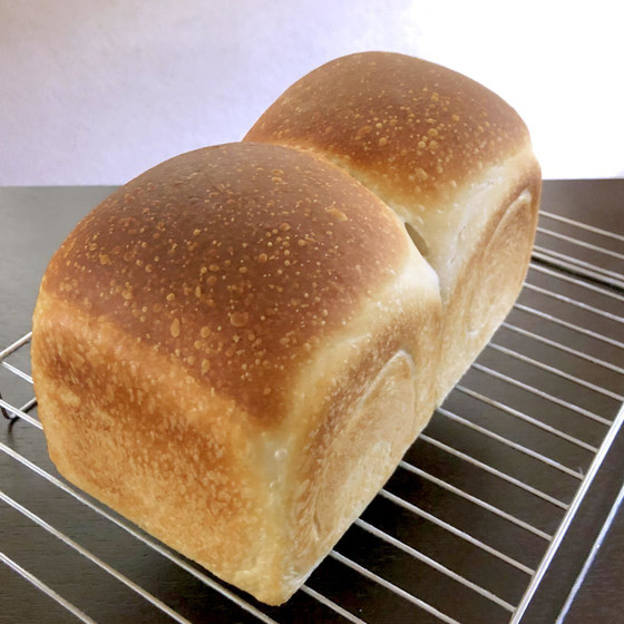 酒種酵母作りと山食パン