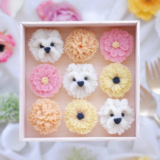 わんこのお花 体験レッスン