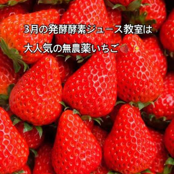大人気！貴重な無農薬いちごで作る発酵酵素ジュース教室