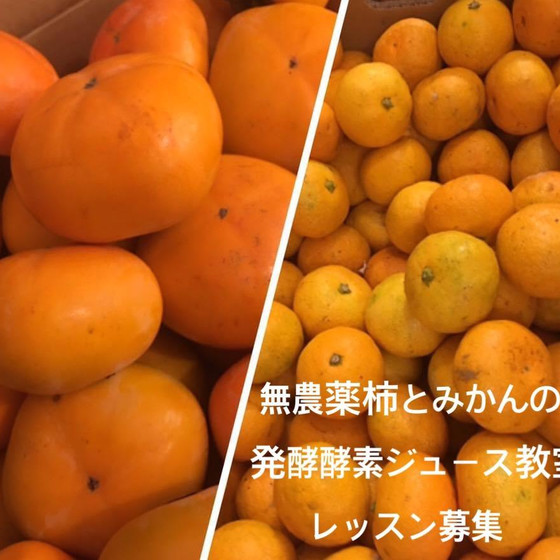 和歌山産無農薬の柿と有田みかんで作る発酵酵素ジュースレッスン