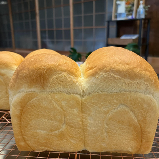 初級６回目（食パン）