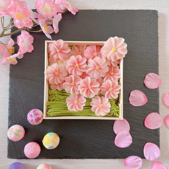 あんこのお花　桜満開のわらび餅BOX