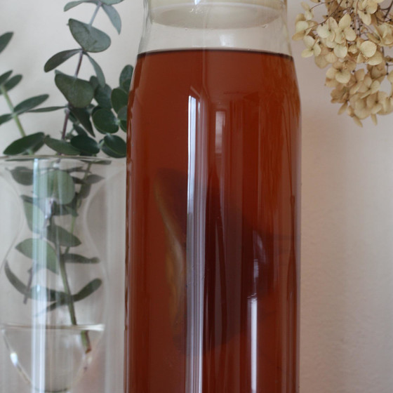 保存食パート③７月「新生姜の甘酢漬け」「ぶっかけ海苔」「KONBUCHA」