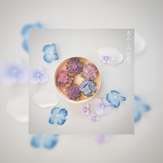 体験レッスン💠🌿‬ 