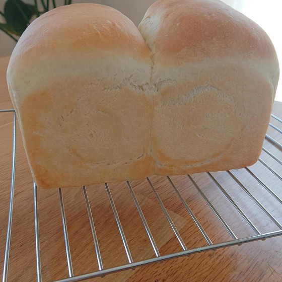 中級コース　食パン