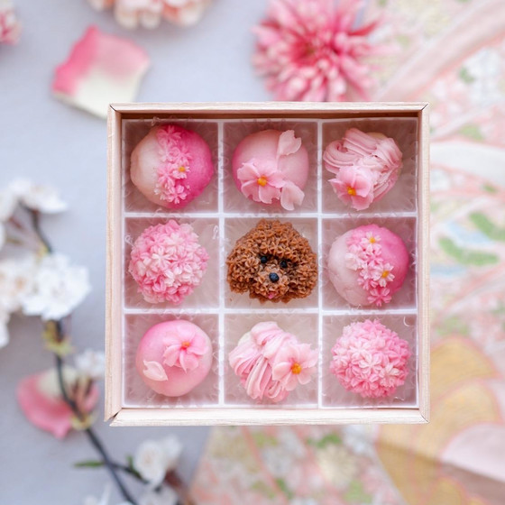 ペット専用スイーツ　桜のミートボールBOXレッスン