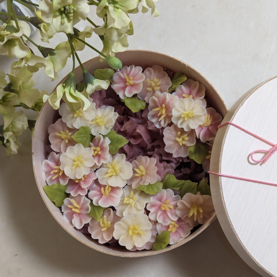 🌸桜のお花見1dayレッスン🌸