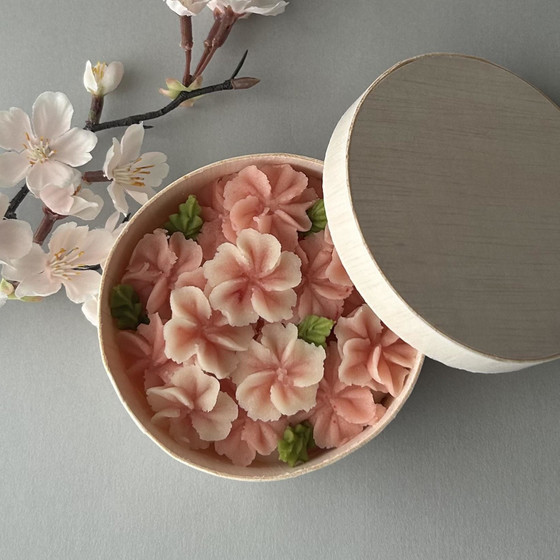 春の桜わっぱ花絞りレッスン