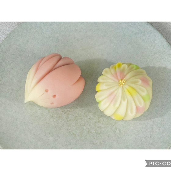 【３月・週末の四ツ谷レッスン】桜舞う季節を楽しむ、練り切りレッスン