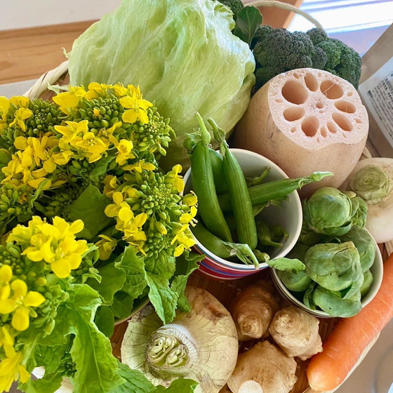 今日、何つくる？レシピに頼らない料理のはじめ方