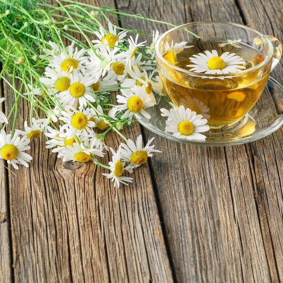 薫衣草水と秋のハーブごはんの会