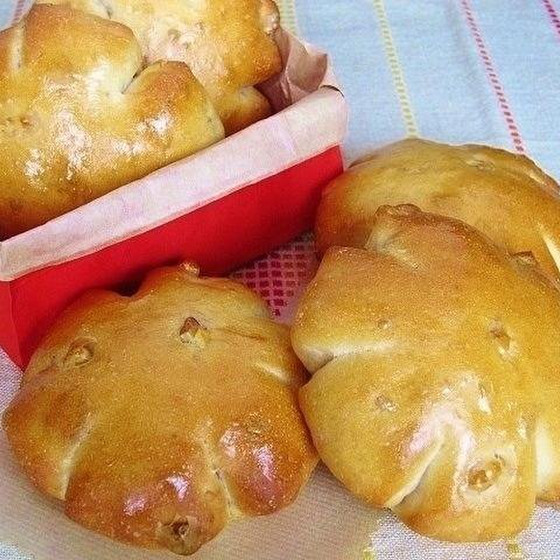 パン教室ノーチェ～noci～