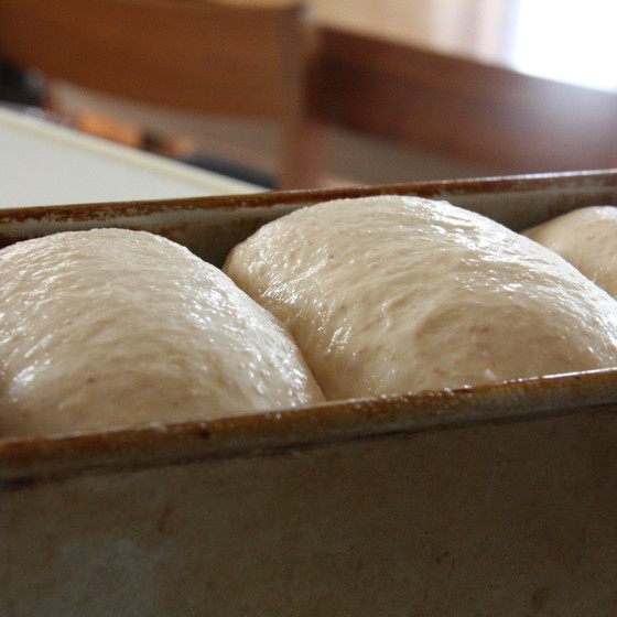 Natural　baking   あこ天然酵母パン教室