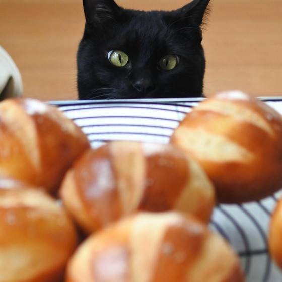 チャゴのパン教室｜加古川市　猫とパンと