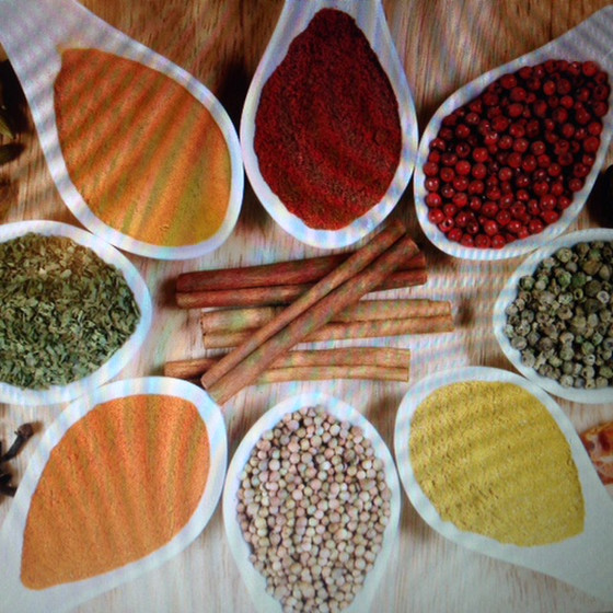 南インド料理　Lotus Indian Cooking