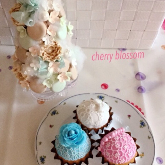 Cherry blossom　