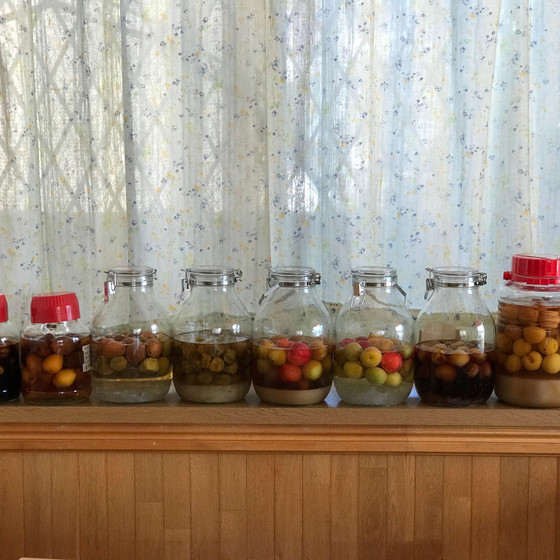 発酵料理教室　米種花~コメシュカ~