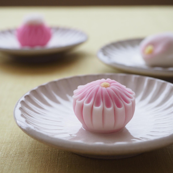 和菓子Labo一陽
