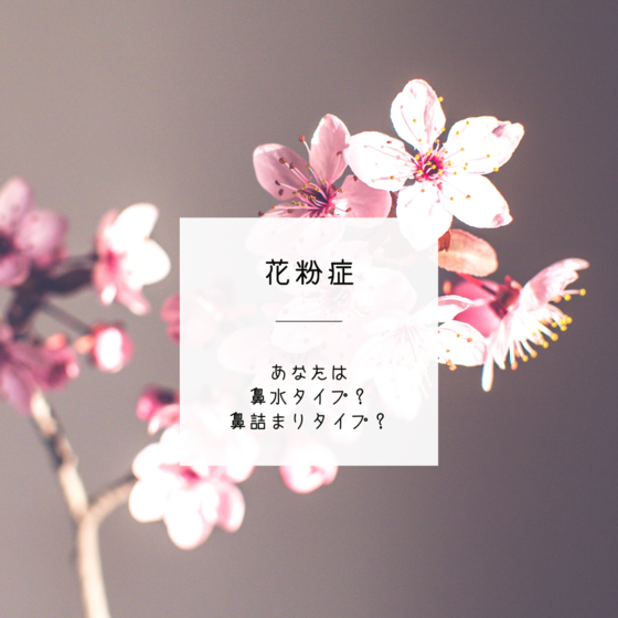 薬膳「花粉症＊あなたは鼻水タイプ？鼻詰りタイプ？」
