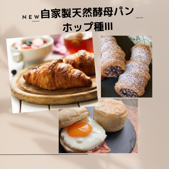 自家製酵母ホップ種で作るクロワッサン