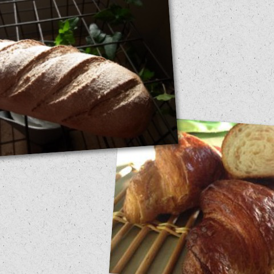お見逃しなく！本格的ドイツパンとクロワッサン