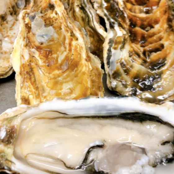歳暮のおもてなし料理