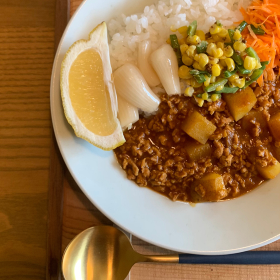 【ワンコイン】20分で完成！爽やかレモン香る ヴィーガンベジカレー（副菜付き） 特別レッスン
