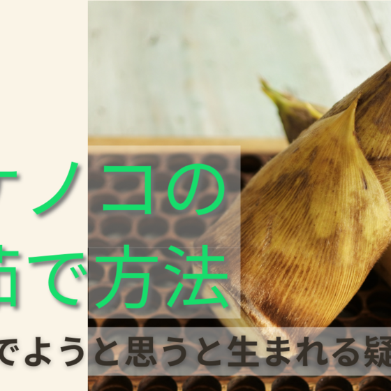 素朴な疑問が解決できるタケノコの下茹で方法の動画付