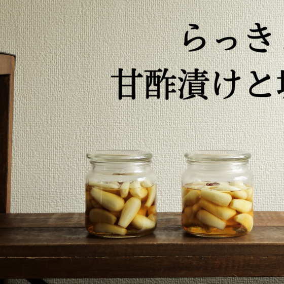 【疲労回復】らっきょうの甘酢漬けと塩漬け