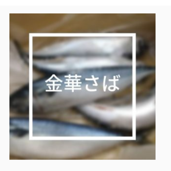 《ＮＥＷ》新企画　お魚Cooking講座　4回コース