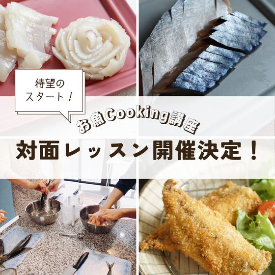 魚をさばけるようになろう！《するめいかCooking講座》4回コース