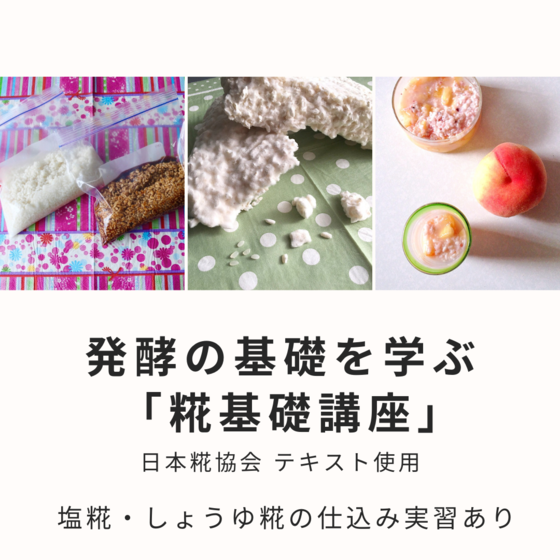 発酵の基礎を学ぶ！『糀(こうじ)基礎講座』