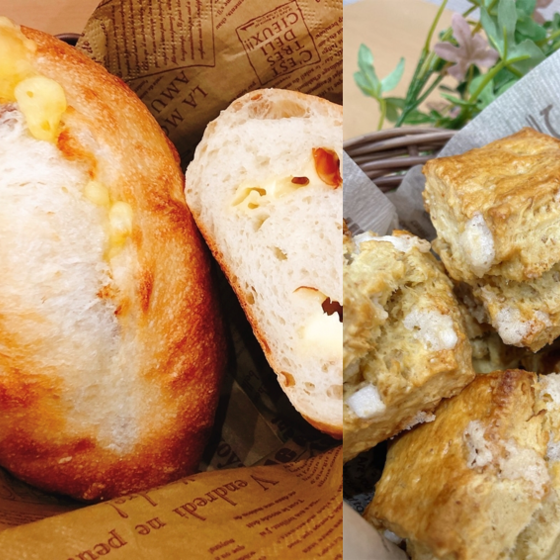 チーズクッペ(冷蔵発酵イースト）とグラハムスコーン