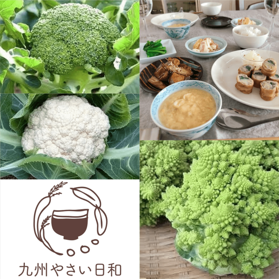 白ねぎたっぷりソースハンバーグと花野菜を楽しむレッスン
