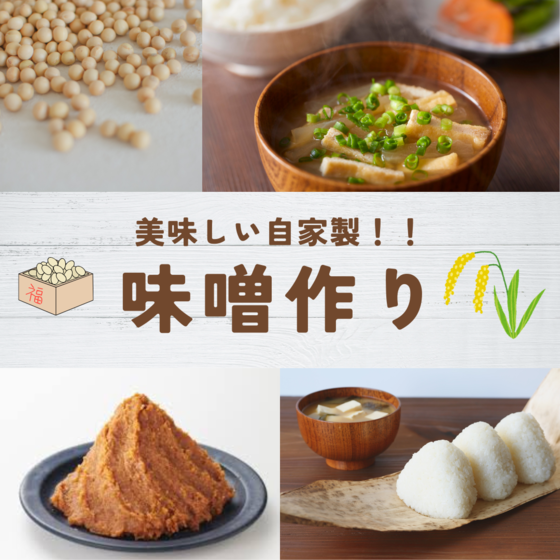 美味しい！自家製味噌作り！