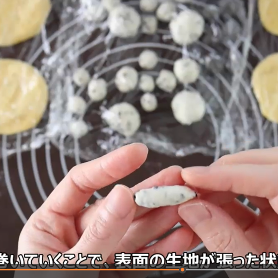 実際の動画。字幕入りでわかりやすい。