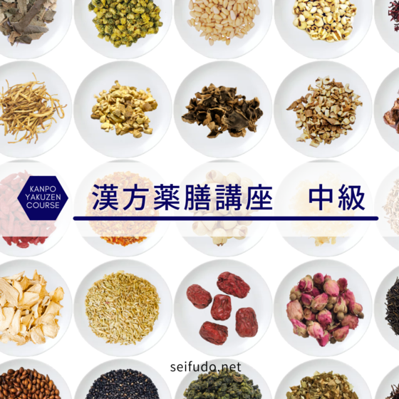 Seifudo 漢方薬膳講座 中級