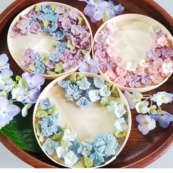 紫陽花のお花絞り