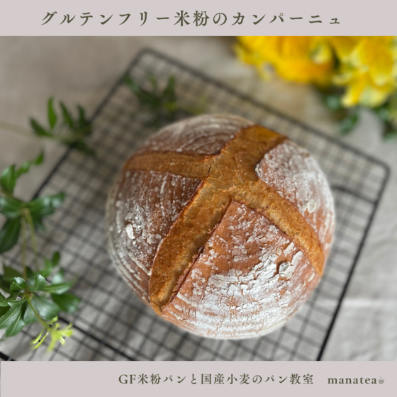 《グルテンフリー》米粉のカンパーニュ