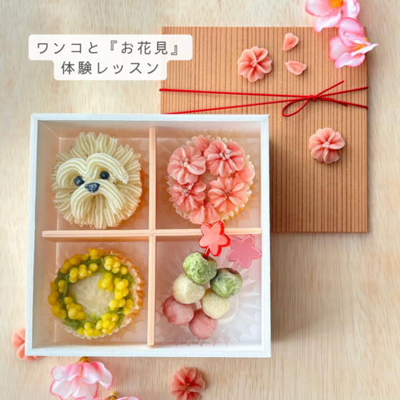 ワンコと「お花見」体験レッスン