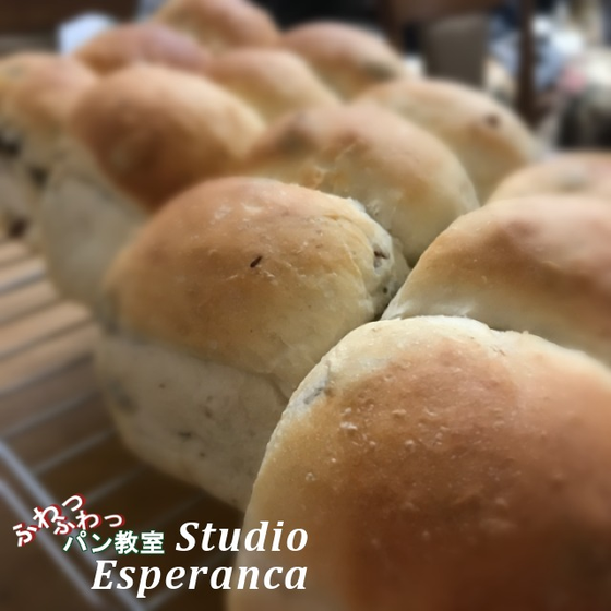 studio_esperanca　